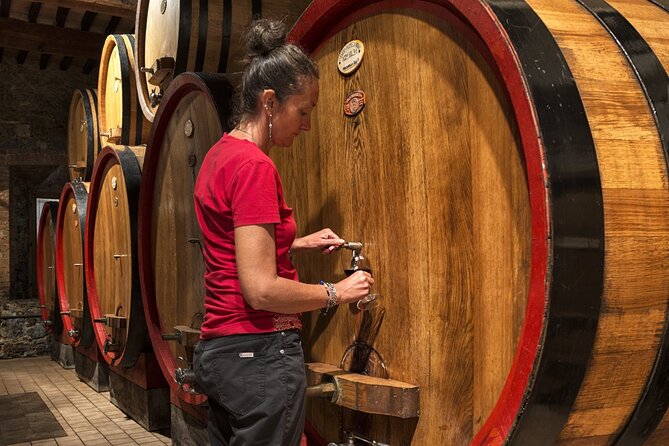 1-Hour Experience with Brunello. Visit to the Vineyard and Cellar - What You Learn Here (Beyond the Wine Facts)
