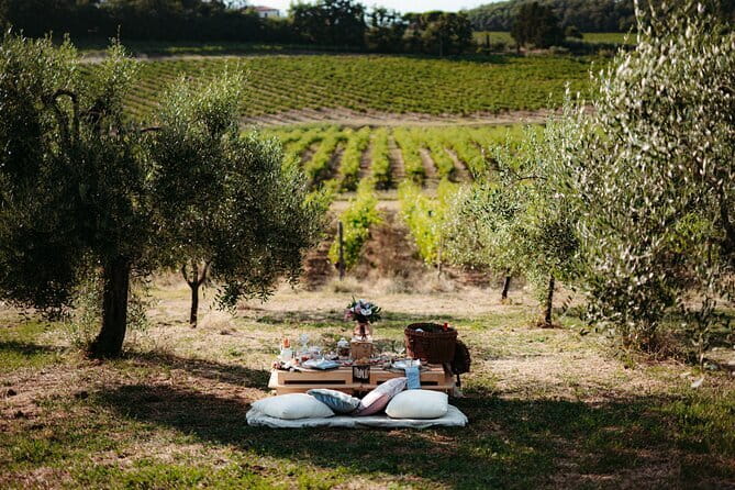 1-Hour Guided Tuscan Wine Tasting in Florence - Price and value: is $83.40 fair for 4 wines and bites?