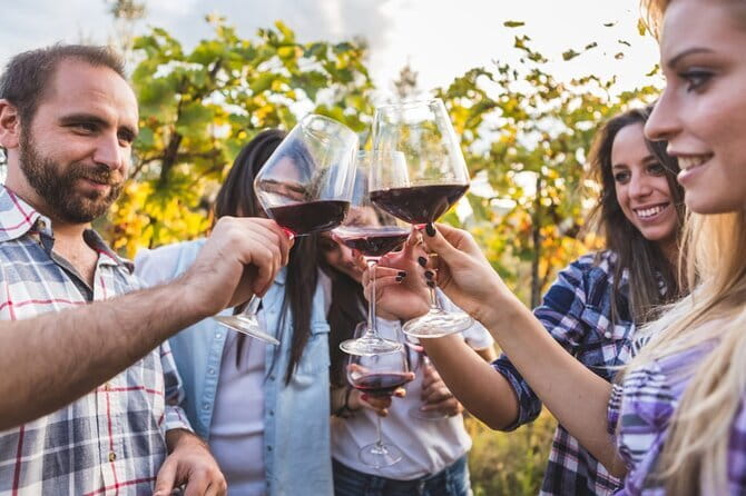 2 wineries Chianti Wine Tasting & Vineyards Walk Private Tour - Vineyard views, olive groves, and that Chianti “walk” component
