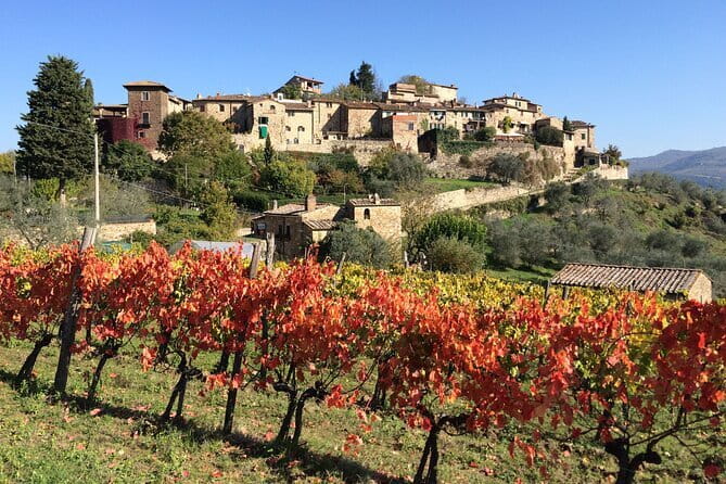 2 wineries Chianti Wine Tasting & Vineyards Walk Private Tour - Two winery tastings in Chianti: what you’re really paying for