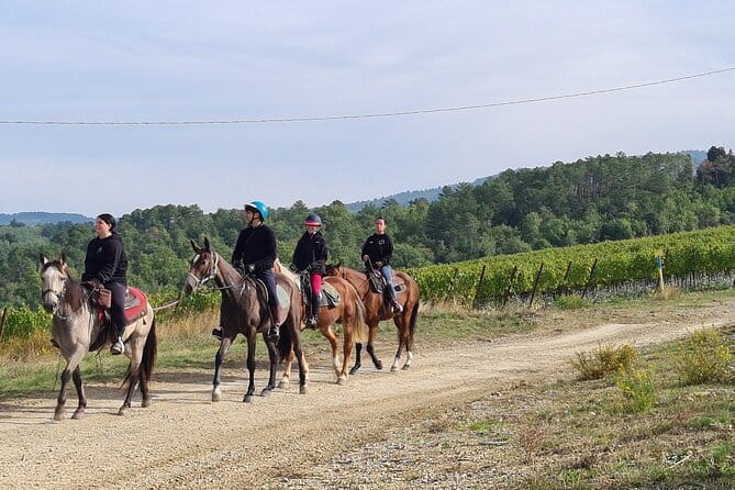 3 Hour Horse Ride to a Castle for Wine Tasting and snack Lunch - From Florence to Tuscan Hills: The Easy Start