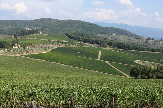 3 Hour Horse Ride to a Castle for Wine Tasting and snack Lunch - Transfers, Comfort, and Small Practical Touches
