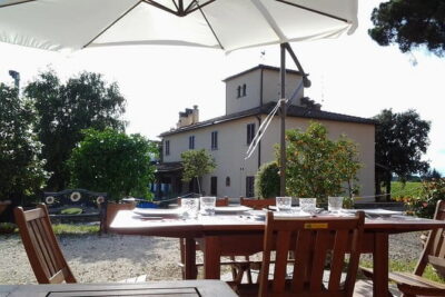 4 Wines & 2 Olive Oils Tasting in Chianti Winery with Tour - Wine lineup: what you’ll drink and why it’s a smart set