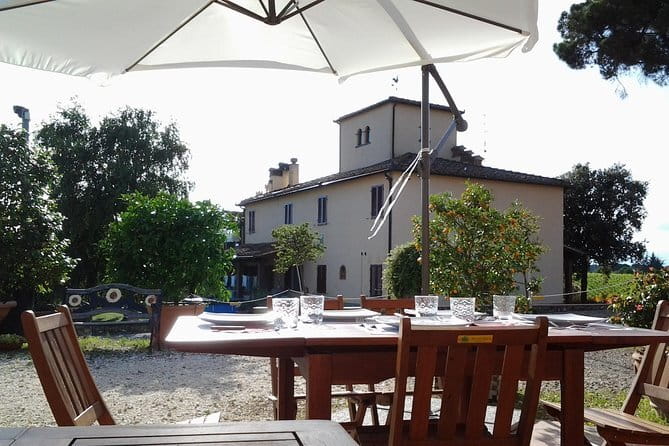 4 Wines & 2 Olive Oils Tasting in Chianti Winery with Tour - Wine lineup: what you’ll drink and why it’s a smart set