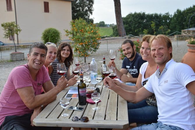 4 WINES TASTING in a Chianti Classico Farm (Visit/tour at the winery included) - Vineyard Walk Option: When Fresh Air Adds Perspective