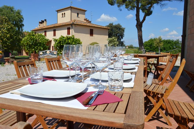 4 Wines Tasting with 2 Tuscan Cheeses & Tour at the winery - The Optional Vineyard Walk (And Why It’s Not Guaranteed)