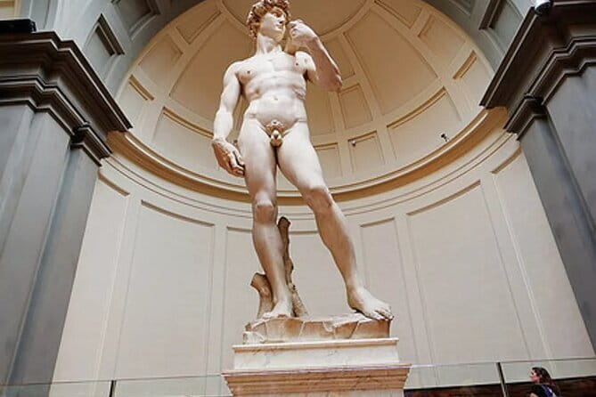 Accademia Gallery : Priority Ticket to SKIP the General Line ! - Entering The Accademia Faster Than the Usual Crowd