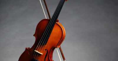 Afternoon Access to Accademia Gallery: David & Stradivarius - The Conservatorio Luigi Cherubini collection: Stradivarius from 1690
