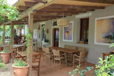 Biodynamic Wine Tasting with Producer in Vinci - The producer story you actually remember