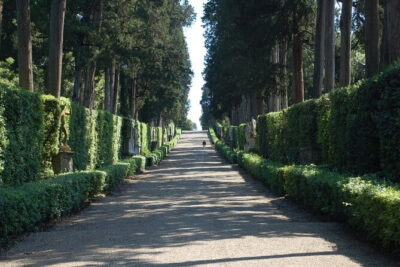 Boboli & Bardini Gardens: The Green Heart of Florence - Giardino di Boboli: Medici design and details you’ll actually notice