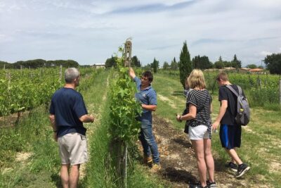 Brunello di Montalcino, small biodynamic wineries - Val d’Orcia Around Montalcino: UNESCO Views and Real Time to Look