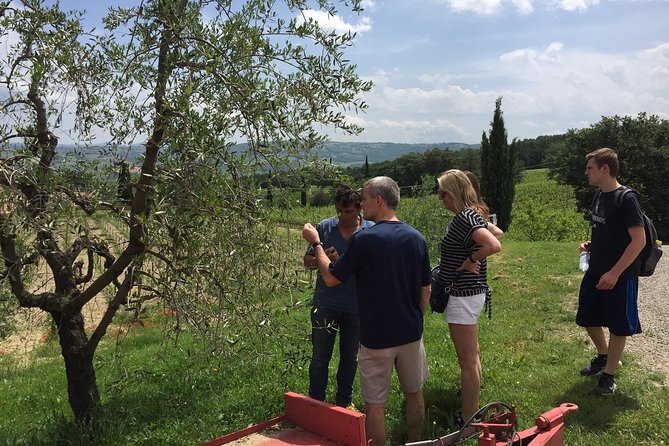 Brunello di Montalcino, small biodynamic wineries - The Day’s Pace: Transport, Group Size, and Timing That Matter