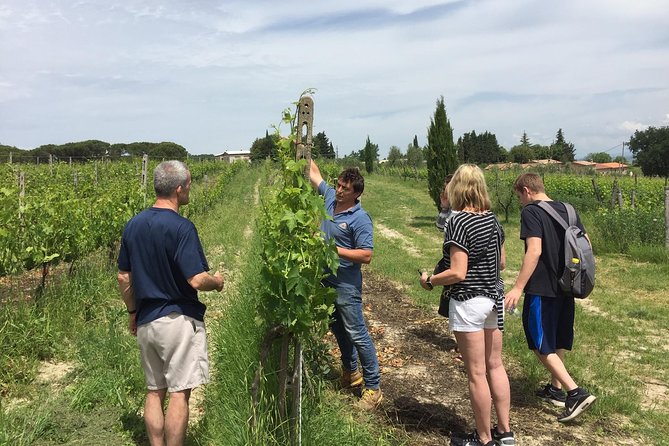 Brunello di Montalcino, small biodynamic wineries - Val d’Orcia Around Montalcino: UNESCO Views and Real Time to Look