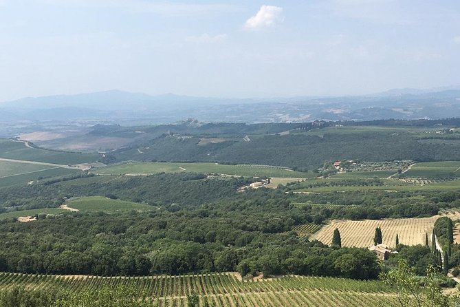 Brunello E-Bike Tour - A Half-Day E-Bike + Wine Plan That Actually Fits Real Life