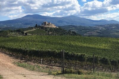 Brunello E-Bike Tour - Meeting Point at Montalcino: Start Smarter, Not Rushier