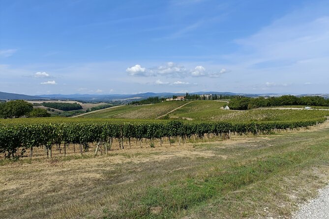 Brunello E-Bike Tour - Montalcino on Your Own: One Hour to Choose Your Own Pace