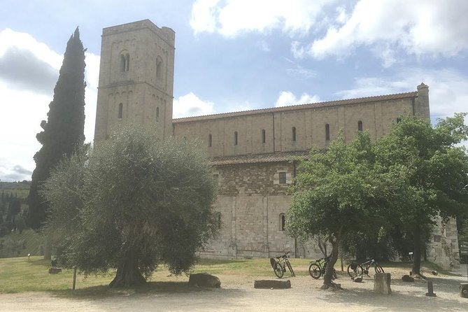 Brunello E-Bike Tour - The Vineyard and the Wine: Three Local Wines, Plus a Lunch Break