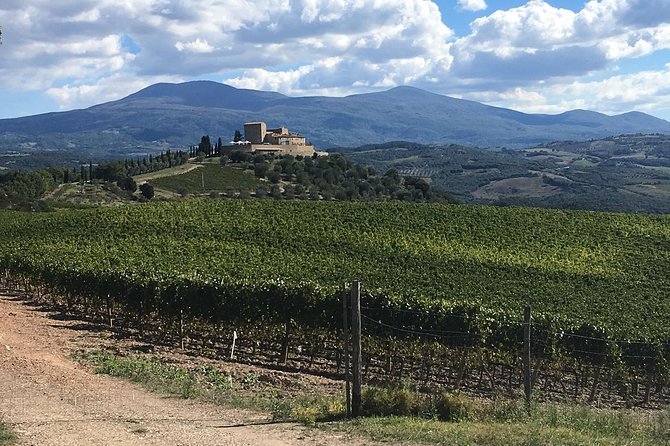 Brunello E-Bike Tour - Meeting Point at Montalcino: Start Smarter, Not Rushier