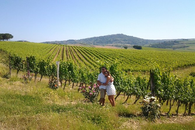 Brunello Vineyards Bus Tour - 8-seat minivan routes to Montalcino wineries off the main roads