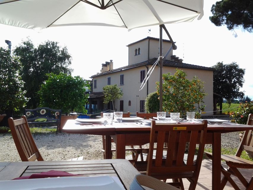 Chianti: 4 Wines +1 Oil Guided Tasting & Tour - The optional vineyard walk: a small moment that can change the whole vibe