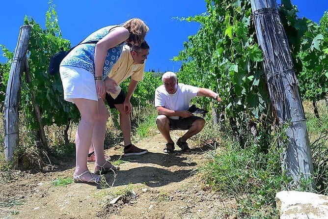 Chianti Classico and Super Tuscan 3 Winery Tour - Key Things That Make This Chianti Wine Tour Worth Your Time