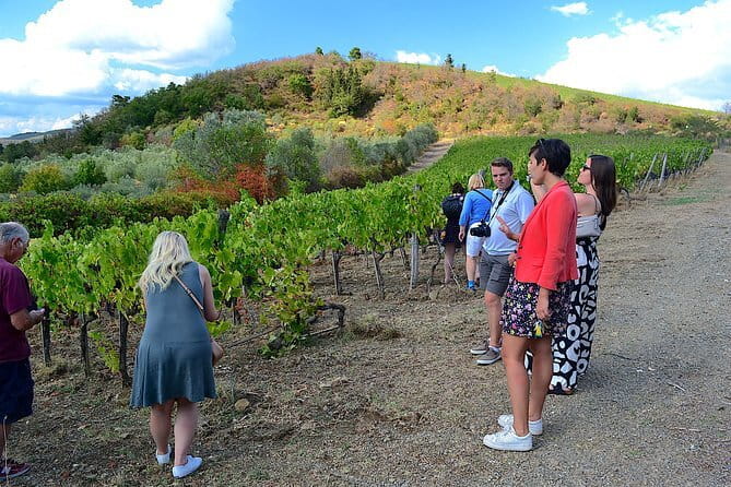 Chianti Classico and Super Tuscan 3 Winery Tour - Stop One: The Tasting Lesson That Sets Up the Whole Day