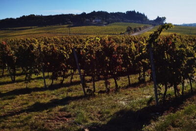 Chianti Classico E-bike Tour - Florence to Chianti: the morning setup that matters