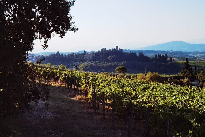 Chianti Classico E-bike Tour - E-bike comfort, traffic reality, and who this suits best