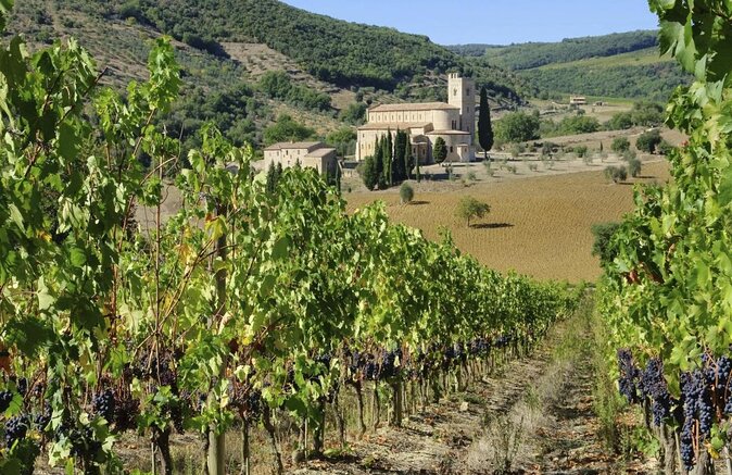 Chianti Classico, Montalcino, Montepulciano by minivan: Wine Tastings & Lunch - Quick Hits (what you’ll notice fast)