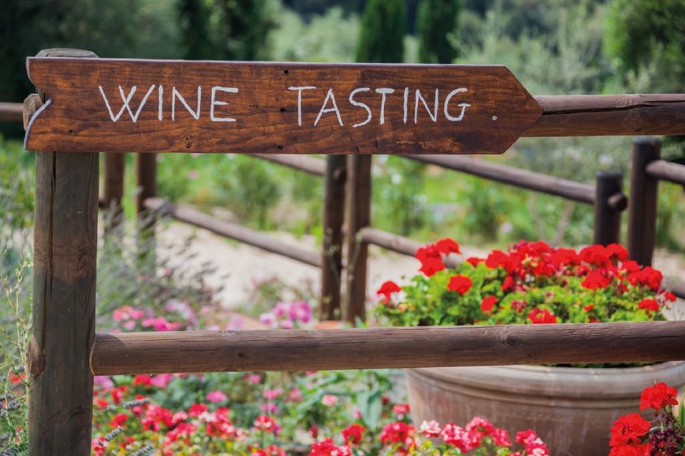 Chianti Countryside Full-Day Tour by Vintage Fiat 500 - Who this tour fits best