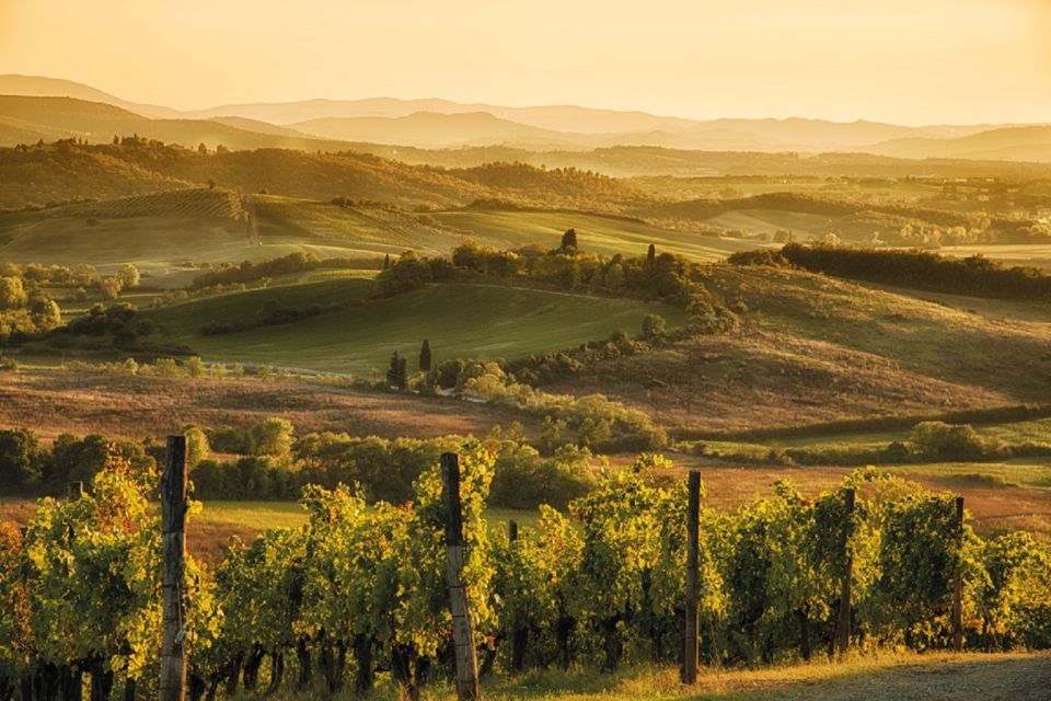 Chianti Countryside Full-Day Tour by Vintage Fiat 500 - Price and value: what $146.14 buys you (and what it doesn’t)
