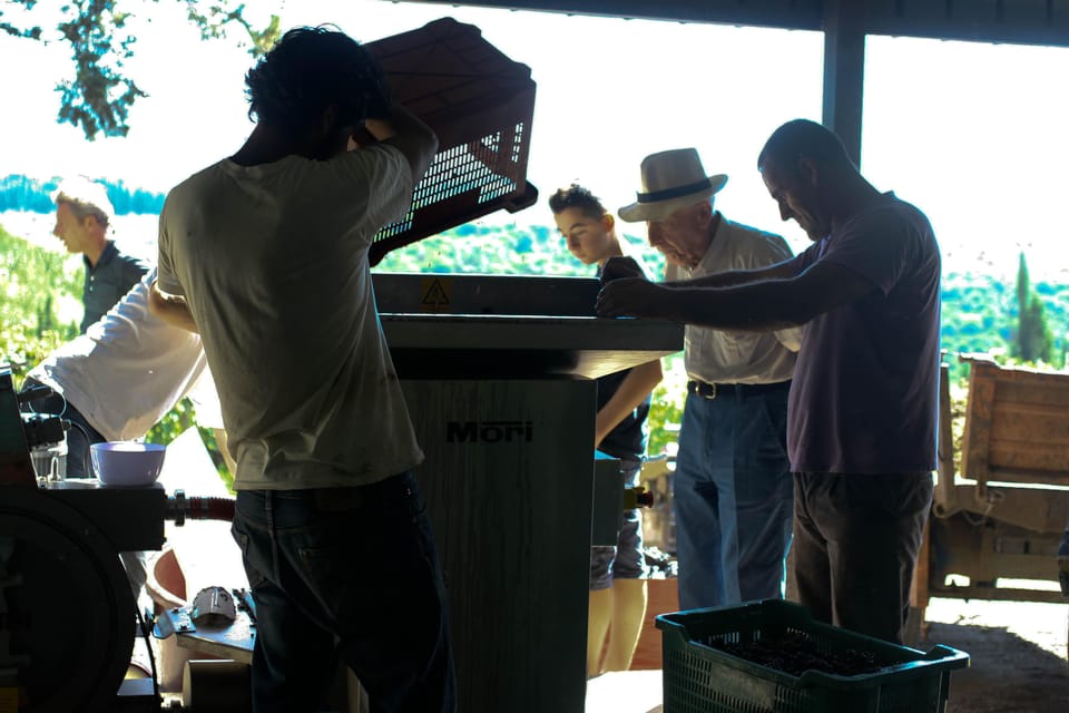 Chianti Organic wine tasting - Key highlights worth planning around