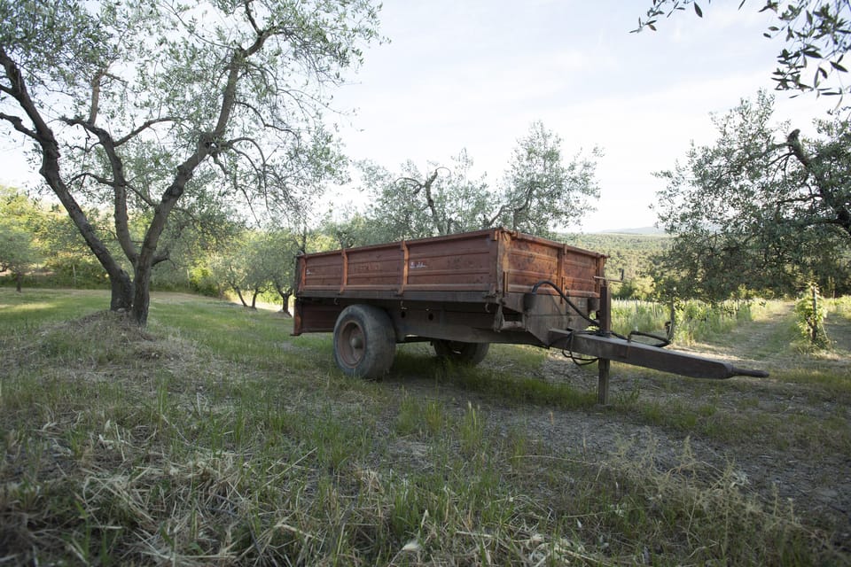 Chianti Organic wine tasting - Getting there on the Chiantigiana road without stress