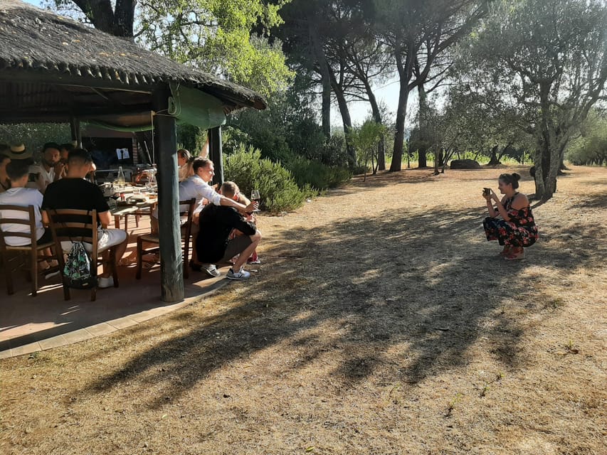 Chianti Organic wine tasting - What you actually taste: 4 organic wines plus extra virgin olive oil