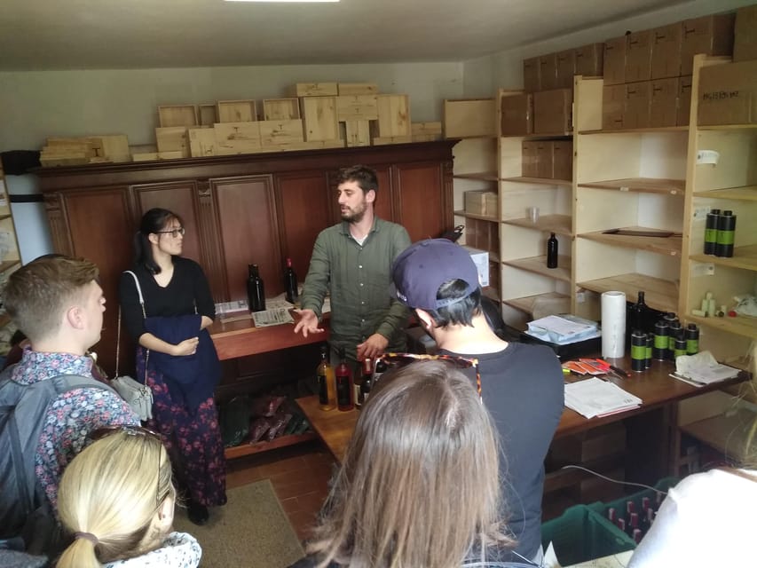 Chianti Organic wine tasting - Food pairing in Chianti: why the bites make the wine make sense
