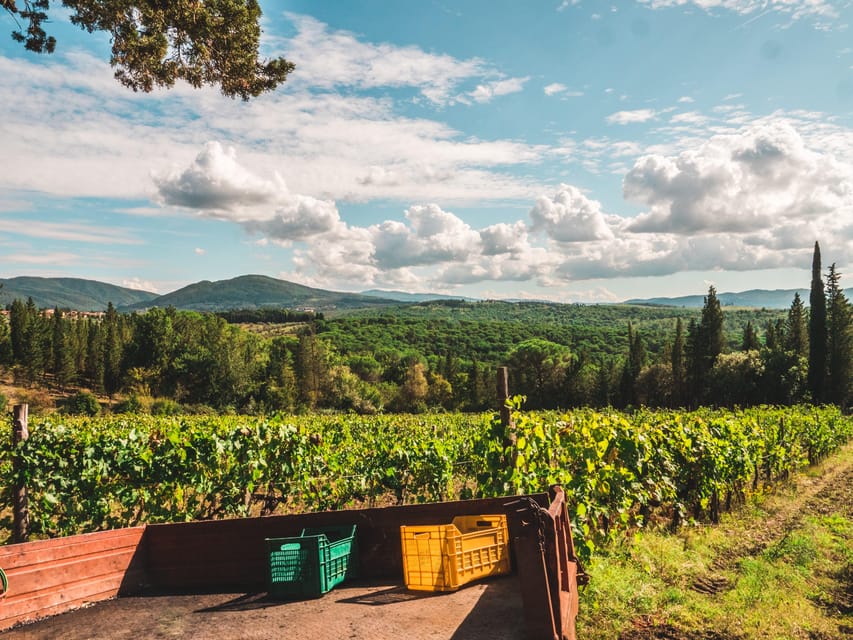 Chianti Organic wine tasting - Who this tour suits best (and who might want to skip it)