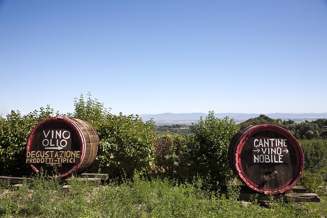 Chianti Region and San Gimignano including wine tasting and light lunch - A Florence Pickup Day That Actually Feels Like a Day