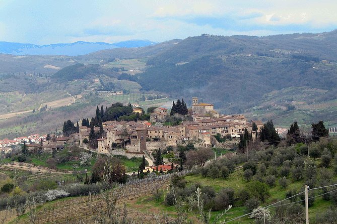 Chianti Region and San Gimignano including wine tasting and light lunch - Getting There Comfortably: Private, Air-Conditioned, and Florence-Wide Pickup