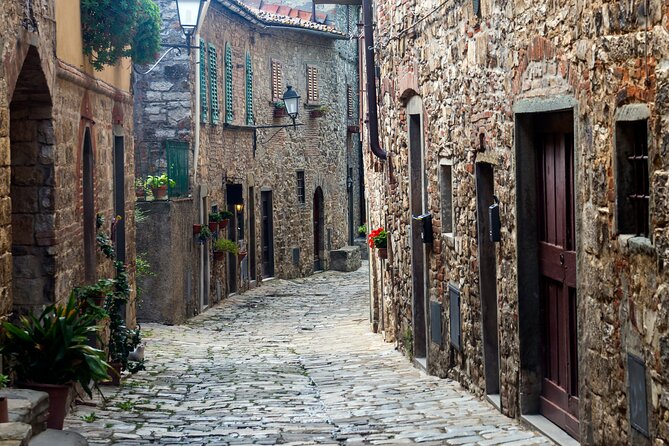 Chianti Region and San Gimignano including wine tasting and light lunch - Service Style and Driver Factor: When “Professional and Accommodating” Matters