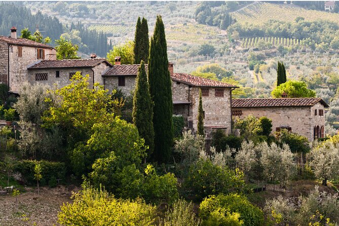 Chianti Region and San Gimignano including wine tasting and light lunch - Who This Tour Fits Best (and Who Might Reconsider)