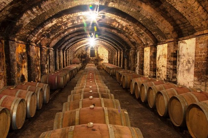 Chianti & Supertuscan Tour 2 Wineries Small Group 8 people max from Florence - Winery Stop Two: Alterio and the Family-Run Feel