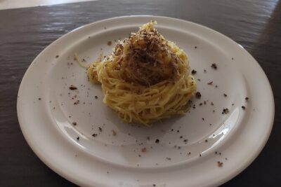Chianti Truffle Hunting with Lunch or Dinner - What You Actually Learn: Trees, Habitat, and How to Handle Truffles