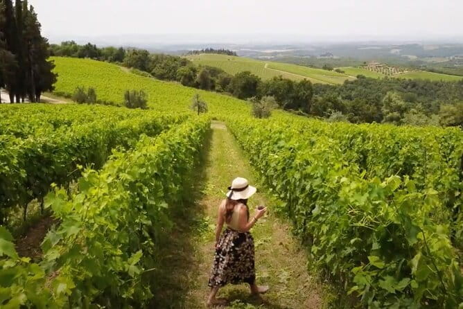 Chianti vineyards: Small-Group tour with wine tasting & Dinner - The estate tour: winery walk, tasting glass, and a chapel stop