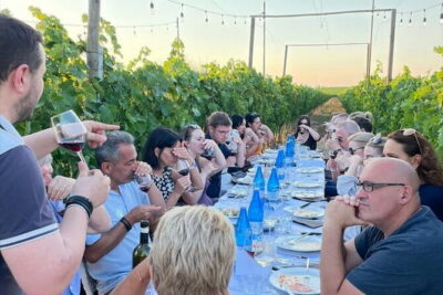 Chianti vineyards: Small-Group tour with wine tasting & Dinner - Wine tasting that feels like more than a sales pitch