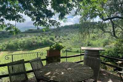 Chianti Vineyards Tours in Private Luxury Van from Florence - San Casciano in Val di Pesa and l’Apparita Estate: a farm you can picture