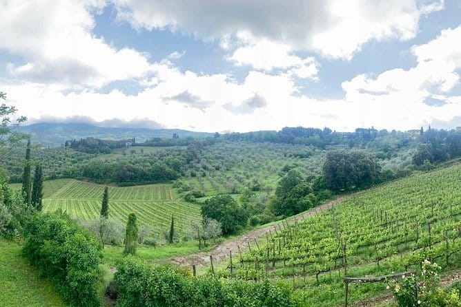 Chianti Vineyards Tours in Private Luxury Van from Florence - The Chiantigiana road: Strada Statale 222 for viewpoints and photos