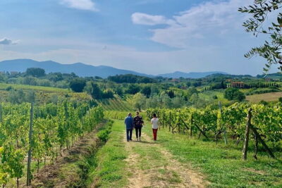 Chianti Wine Tasting Tour from Florence (2 Wineries) - Stop 1: your first tasting and the big learning moment