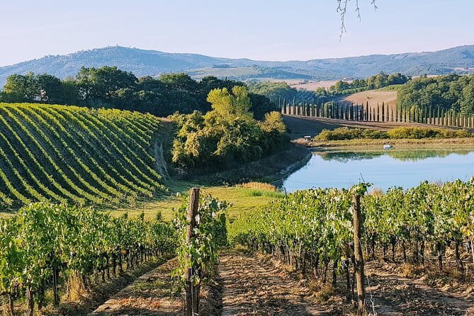Chianti Wine Tastings Day Trip at Sunset from Florence - Key highlights that make this trip worth your time