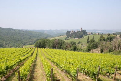 Chianti Wine Tastings Day Trip at Sunset from Florence - Montefioralle: a photo stop that keeps the day from getting repetitive