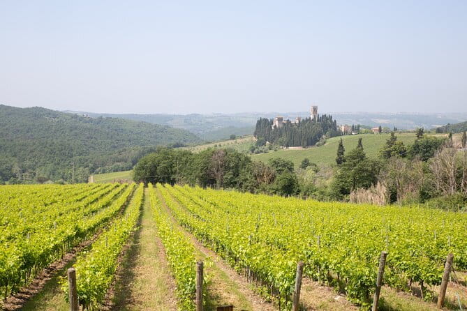 Chianti Wine Tastings Day Trip at Sunset from Florence - Montefioralle: a photo stop that keeps the day from getting repetitive